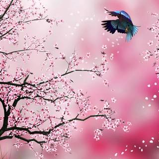 Sakura tree wallpaper