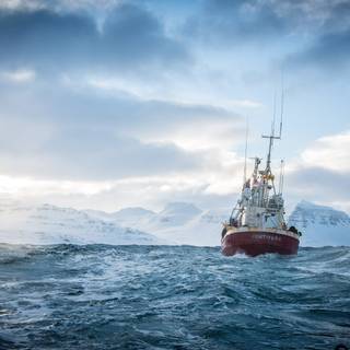 Fortitude wallpaper