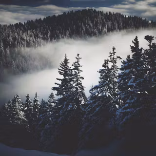 Foggy winter dark wallpaper
