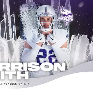 Minnesota Vikings wallpaper