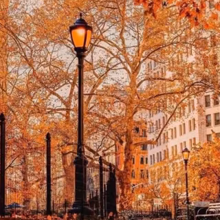 Light autumn HD wallpaper