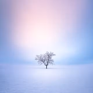 Foggy winter trees 4k wallpaper