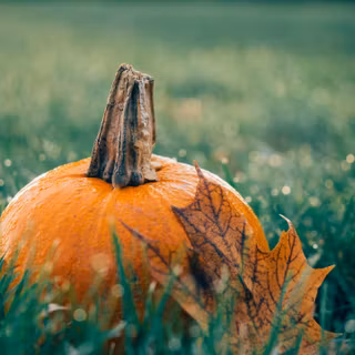 Cozy Halloween laptop wallpaper
