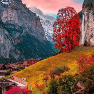 Autumn travel wallpaper