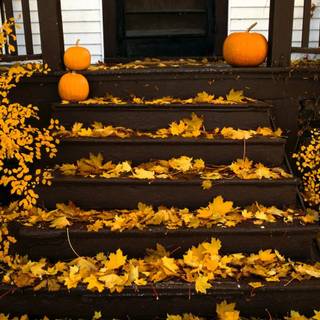 Halloween Windows 11 wallpaper