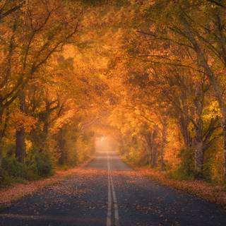 Autumn travel wallpaper