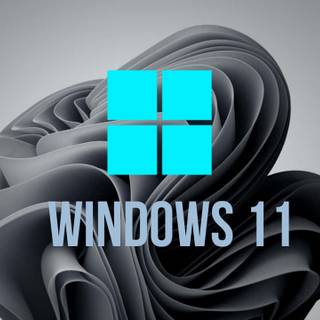 Windows 11 grey wallpaper