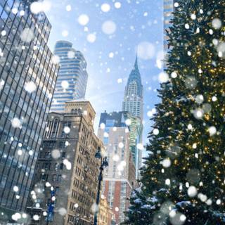 Navidad 2025 wallpaper