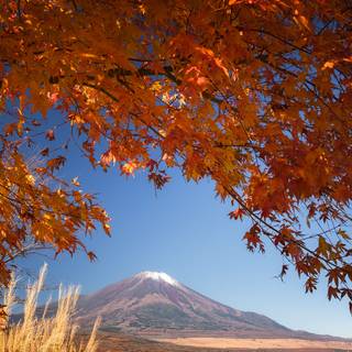 Autumn travel wallpaper