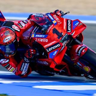 Francesco Bagnaia 2024 wallpaper