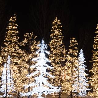 Navidad 2025 wallpaper