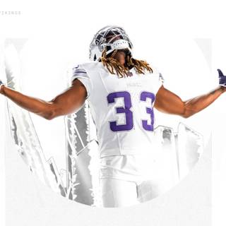 Minnesota Vikings wallpaper