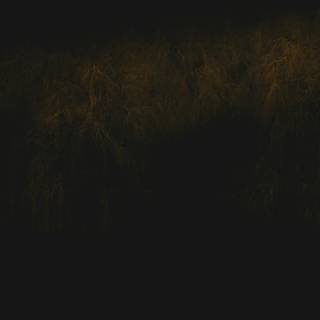 Black PC wallpaper