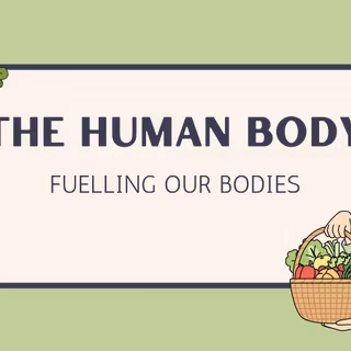 Nutrients wallpaper