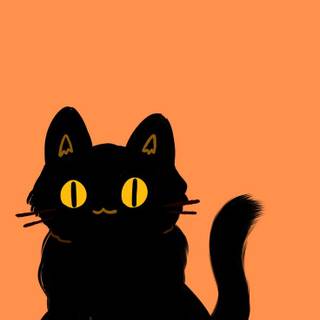 Black cat and orange cat wallpaper