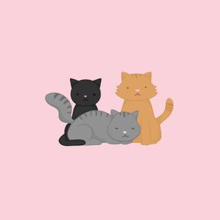 Black cat and orange cat wallpaper