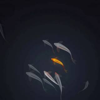 Minimalist iPad Mini dark wallpaper