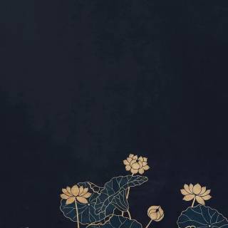 Minimalist iPad Mini dark wallpaper