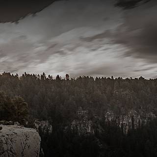 Sitka camo wallpaper