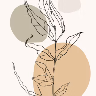 Female simple line wallpaper