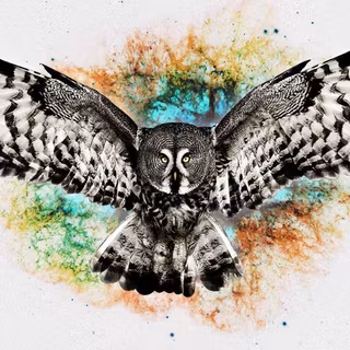 Abstract owl wallpaper