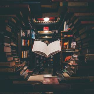 Book reader wallpaper