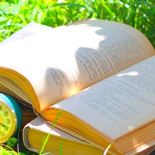 Book reader wallpaper