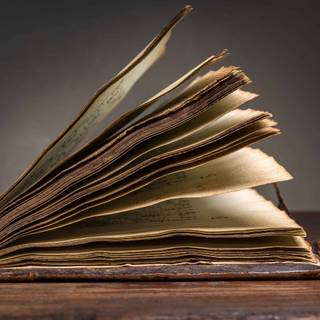 Book reader wallpaper