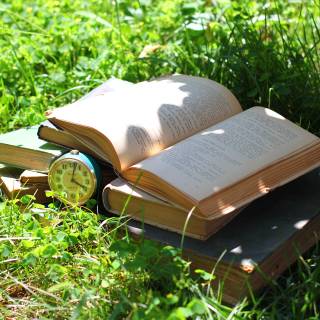 Book reader wallpaper