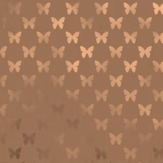 Beige iPhone 16 wallpaper