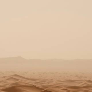 Beige iPhone 16 wallpaper