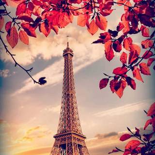 Rain Paris wallpaper