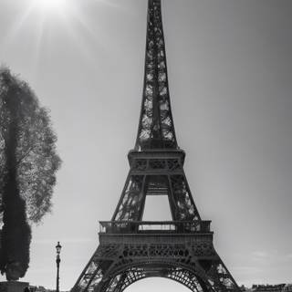 Rain Paris wallpaper