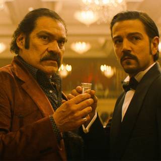 Narcos: Mexico HD wallpaper