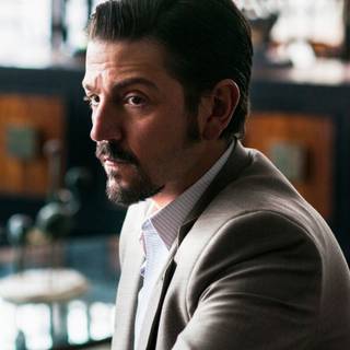 Narcos: Mexico HD wallpaper