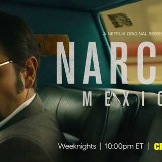 Narcos: Mexico HD wallpaper