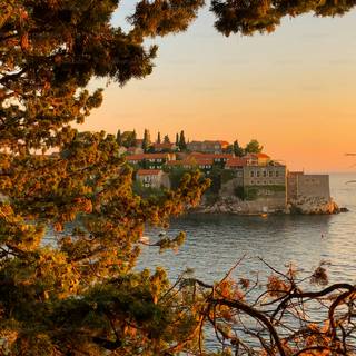 Sunset autumn tree wallpaper