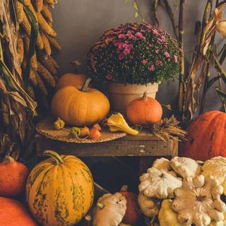 Warm Thanksgiving wallpaper