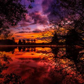 Sunset autumn tree wallpaper