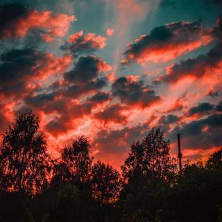 Sunset autumn tree wallpaper