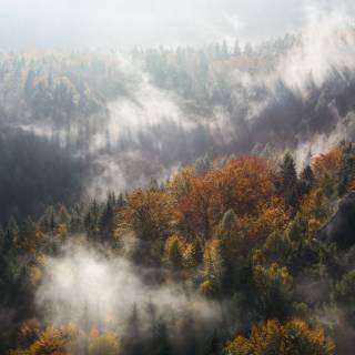 Foggy mountain autumn wallpaper