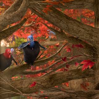 Forest Thanksgiving art wallpaper