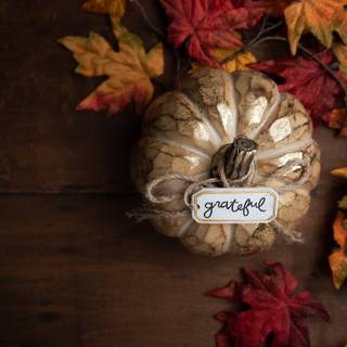 Grateful friends Thanksgiving wallpaper