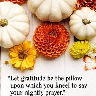 Grateful friends Thanksgiving wallpaper