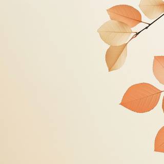 Orange autumn leaves wallpaper