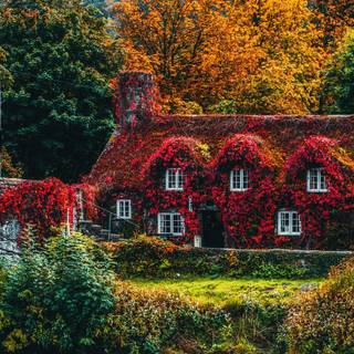 Countryside in the fall wallpaper