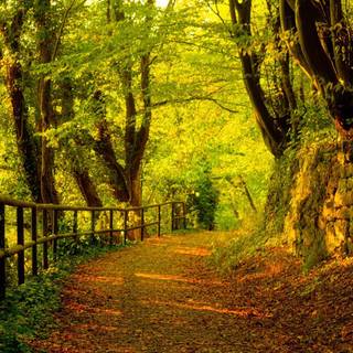 Countryside in the fall wallpaper