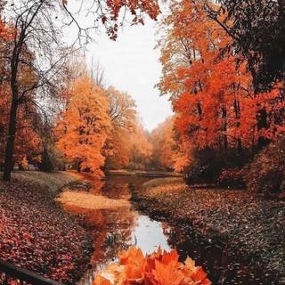 Countryside in the fall wallpaper