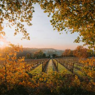 Countryside in the fall wallpaper