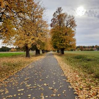 Countryside in the fall wallpaper